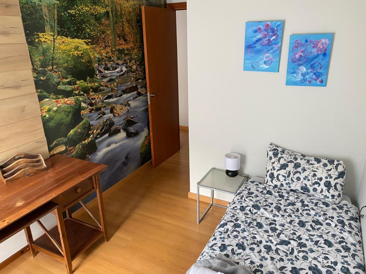 Duplex Roca Del Sucut Apartment Ribes De Freser Luaran gambar